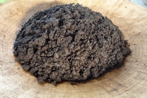 BIOCOMPOST