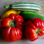 Les légumes du potager